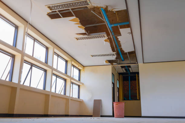 Best Water damage cleanup near me  in Avilla, AR