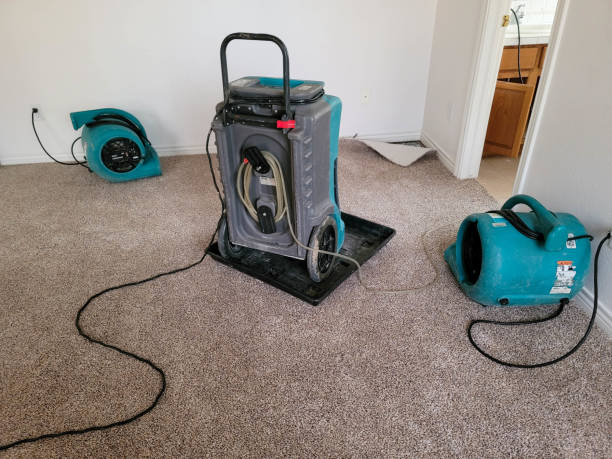 Best Flood restoration services  in Avilla, AR
