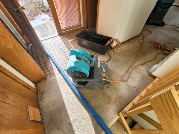Best Water damage restoration near me  in Avilla, AR