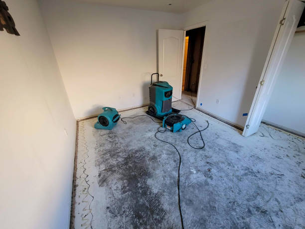 Best Residential water damage restoration  in Avilla, AR