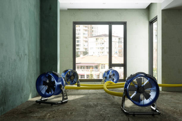 Best Water damage contractors near me  in Avilla, AR